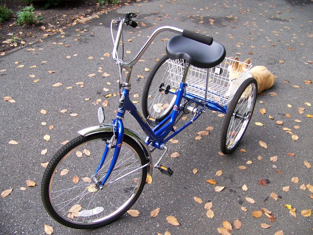 sun adult tricycles